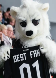 фан 23
