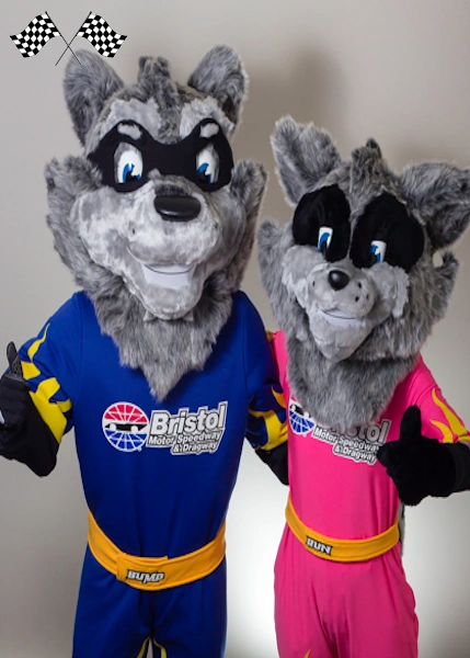 mascot briston dreg resing