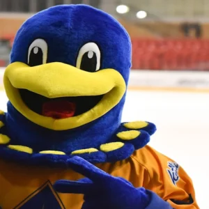сокіл ф