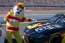 Талісман Пес Спаркі NASCAR спаркі дрег рейсінг