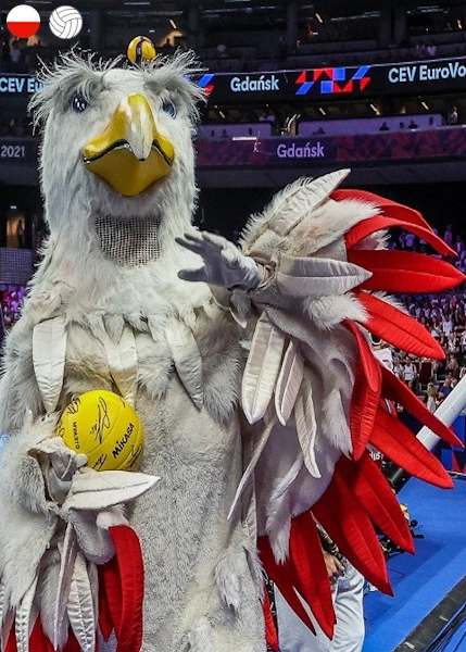 mascot баскетбол